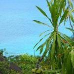 The Seychelles