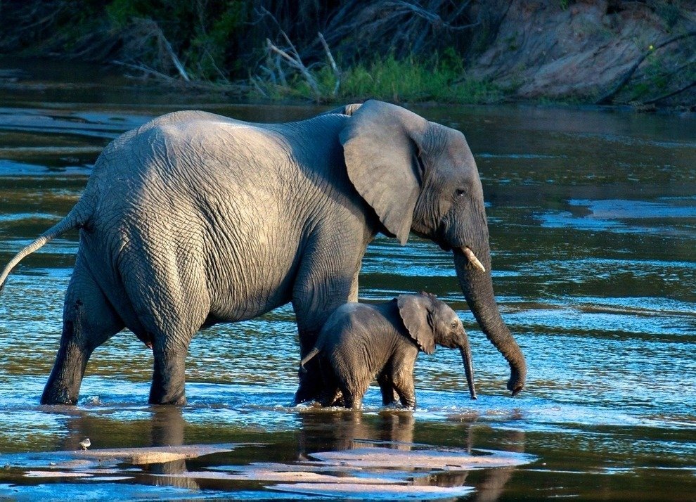 National Geographic Traveler Photo Contest
