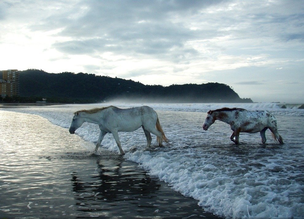 National Geographic Traveler Photo Contest