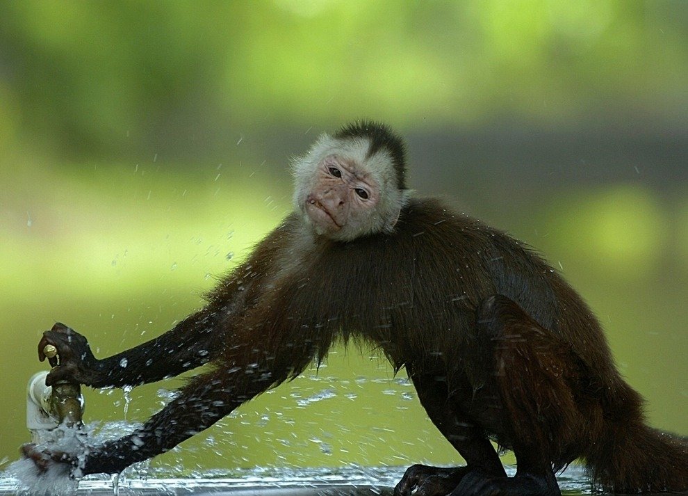 National Geographic Traveler Photo Contest