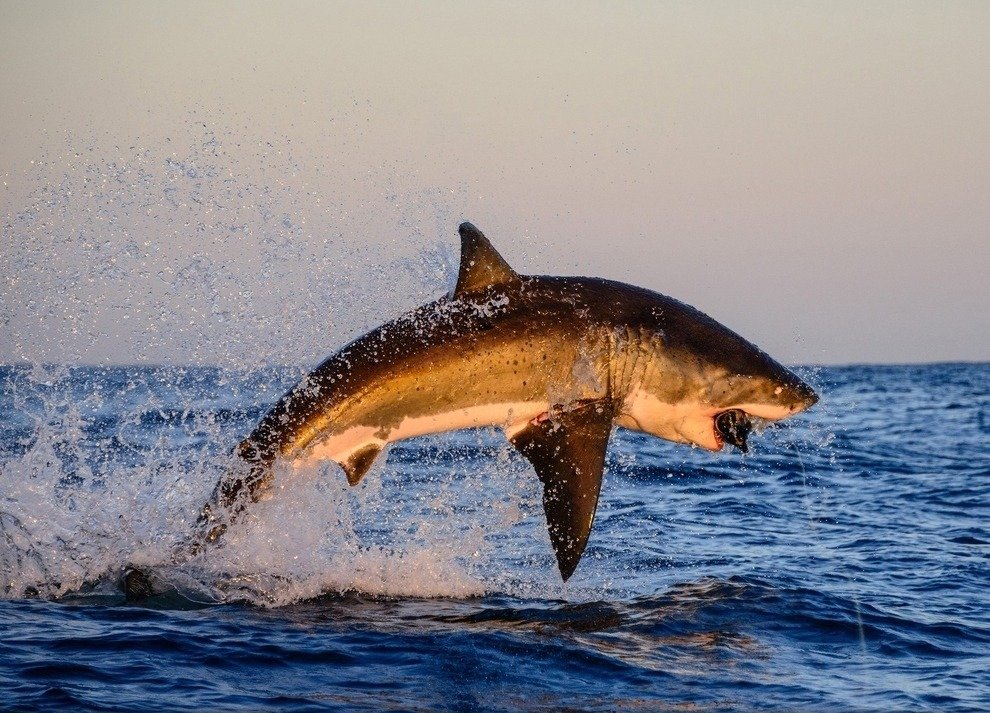 National Geographic Traveler Photo Contest