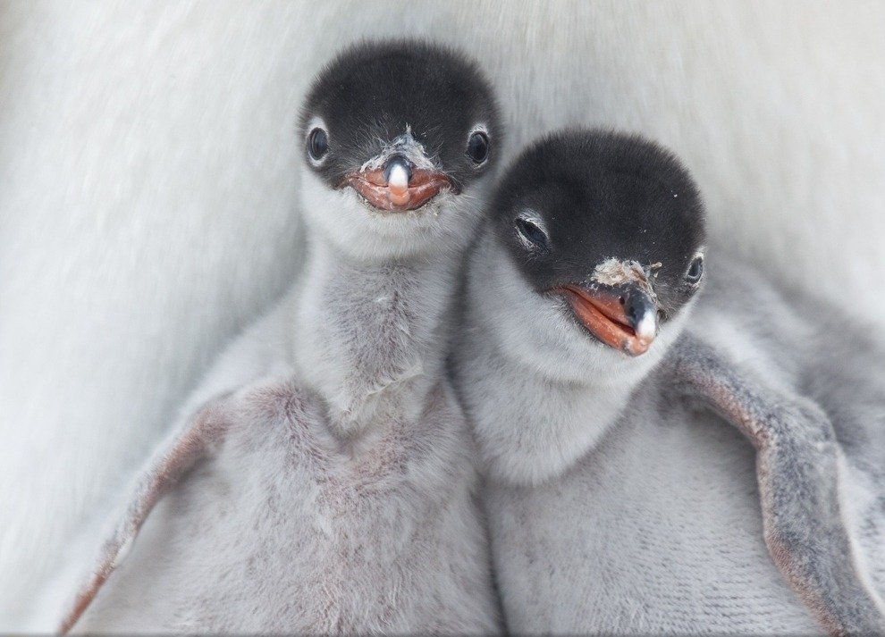 National Geographic Traveler Photo Contest