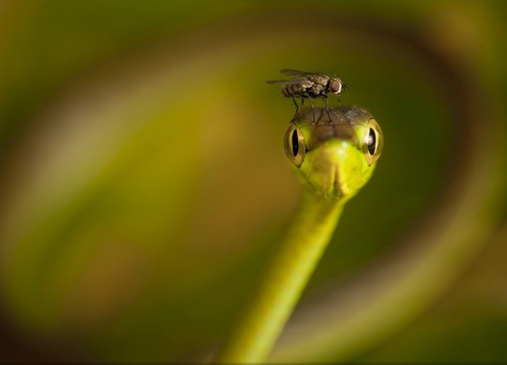 National Geographic Traveler Photo Contest