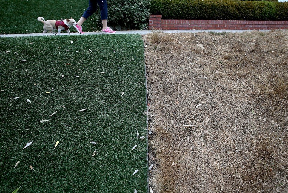 California Water Resources Control Board Considers Fine For Not Following Water Conservation Rules