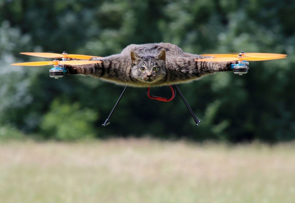 57. Dutch artist Bart Jansen turns his dead cat into remote controlled helicopter, London, UK – June, 2014.