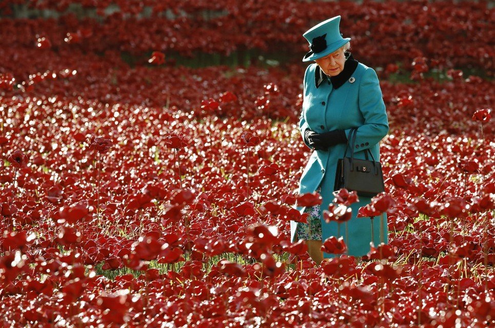 87. Queen Elizabeth walks through a field of ceramic poppies; a piece of art named “Blood Swept Lands and Seas of Red” in London - October 16, 2014.