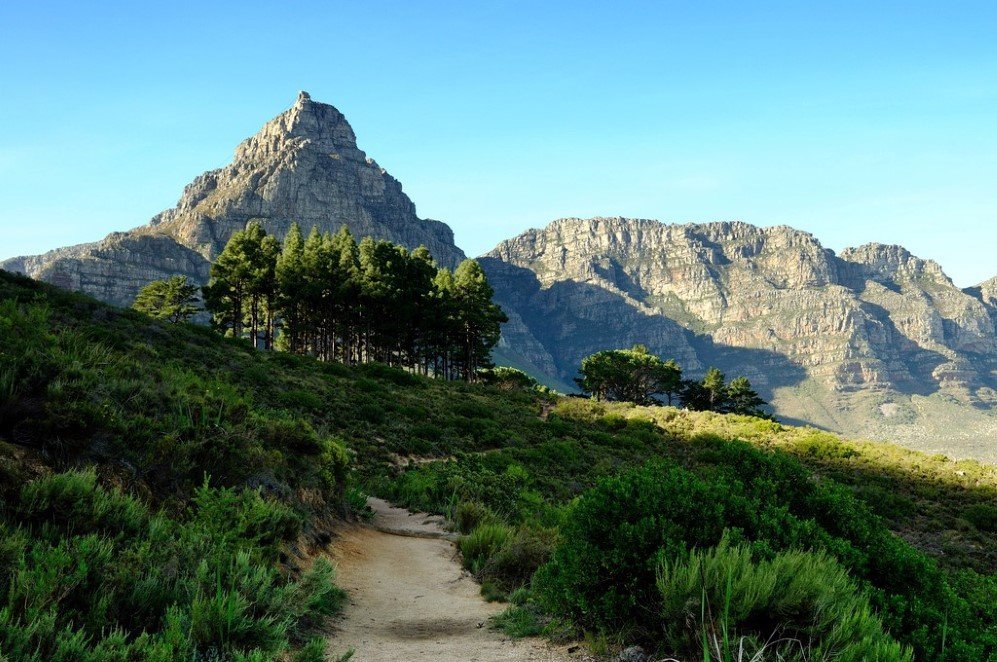 Table Mountain, South Africa (3)