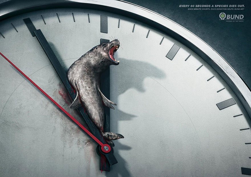 Every 60 Seconds a Species Dies Out. Each Minute Counts