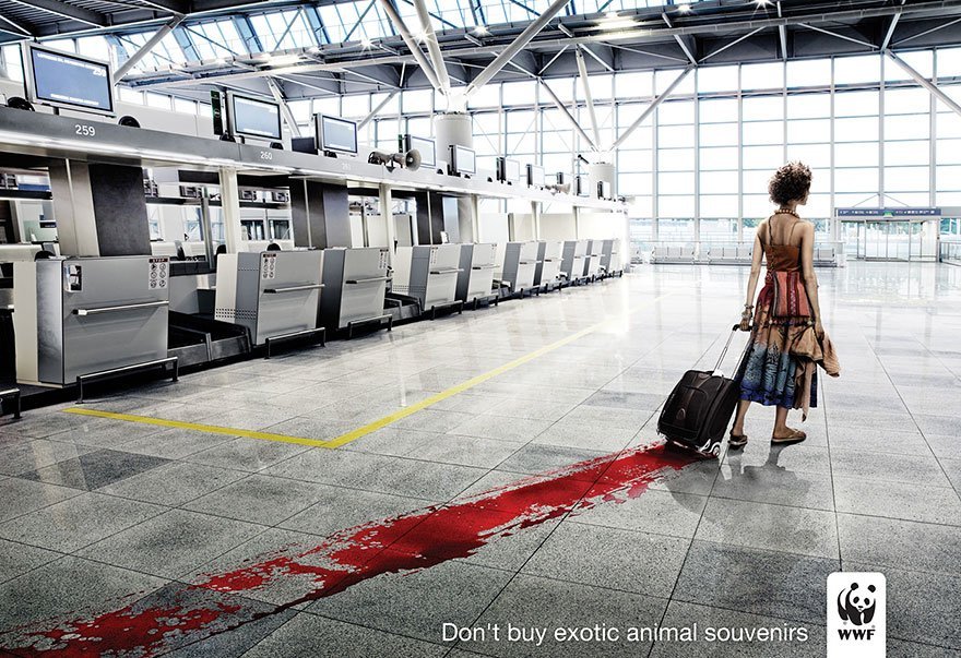 Don’t Buy Exotic Animal Souvenirs