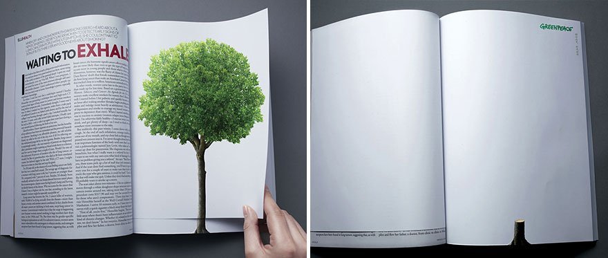 Deforestation Continues With the Turn of a Page