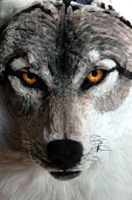 Animal Sculptures Made Entirely Out of Pipe Cleaners (6)