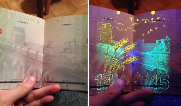 Canadian Passport Under UV Light (2)
