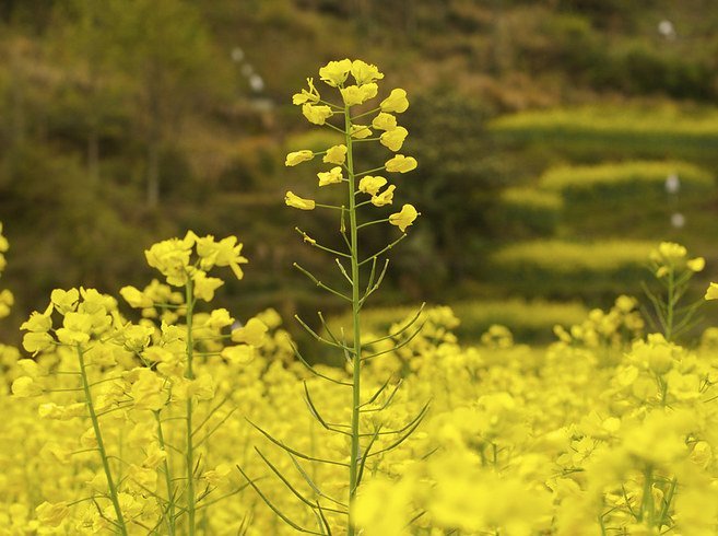 Guoyu Zhao thinkstockphotos.com