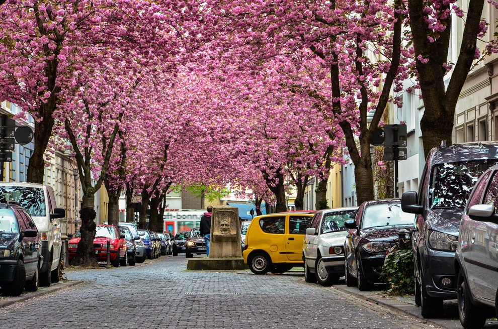 Prashant Agrawal shutterstock.com
