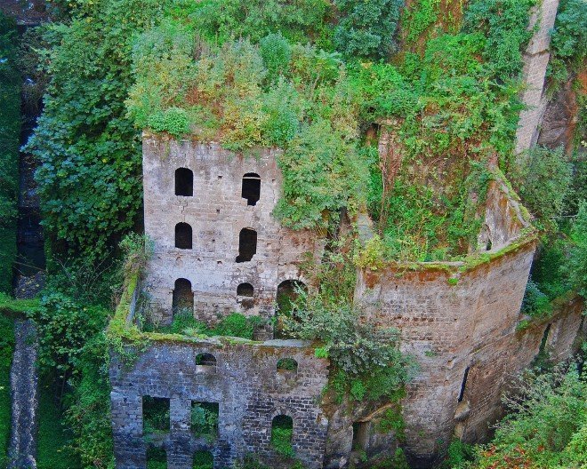 Abandoned Mill (4)