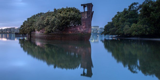 Floating Forest (1)