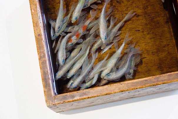 hyper-realistic-artworks-10-3