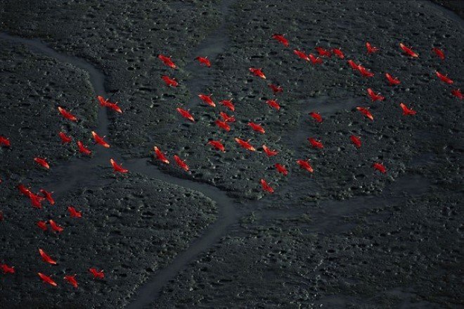 Amacuro Delta, Venezuela