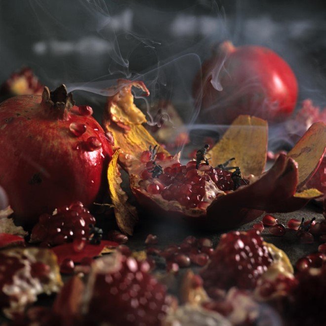 Miniature Food Photography (17)