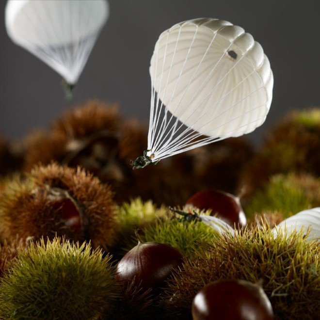 Miniature Food Photography (20)