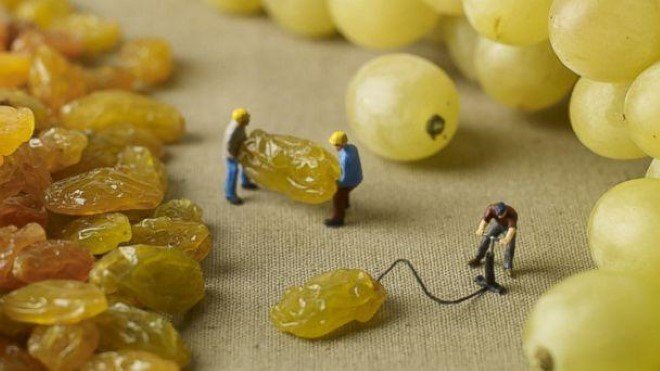 Miniature Food Photography (21)