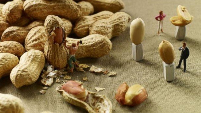 Miniature Food Photography (22)