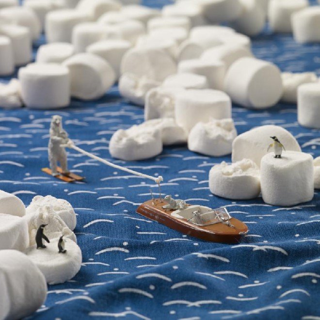 Miniature Food Photography (25)