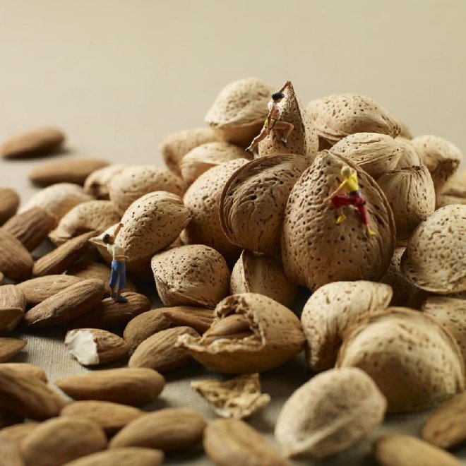 Miniature Food Photography (7)