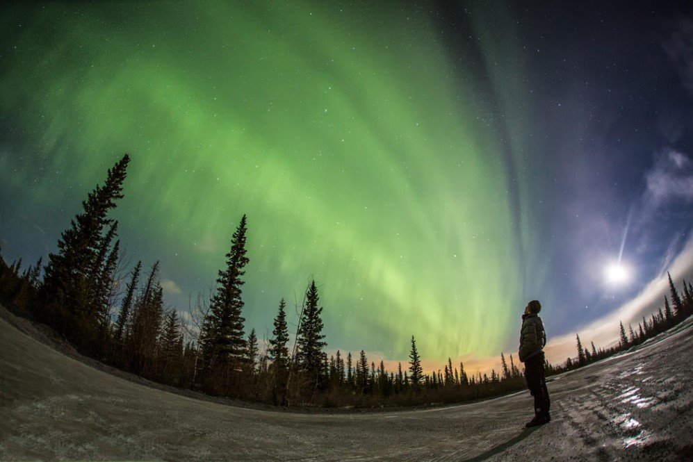 Scenic Selfies by Paul Zizkas (11)