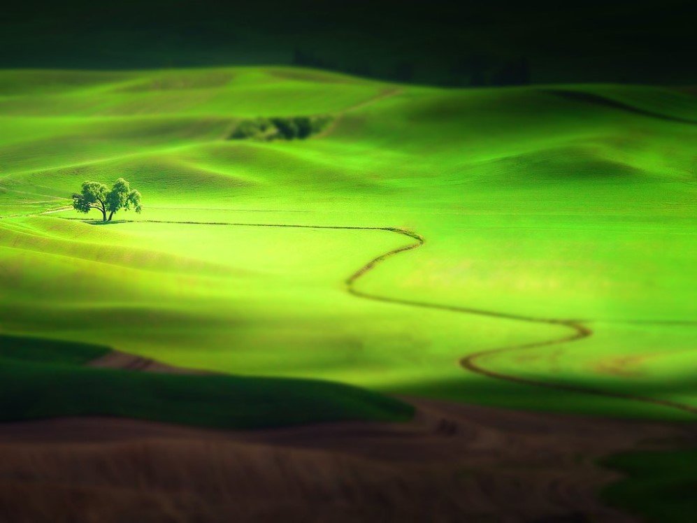 Shadows and Light by Jesse Summers