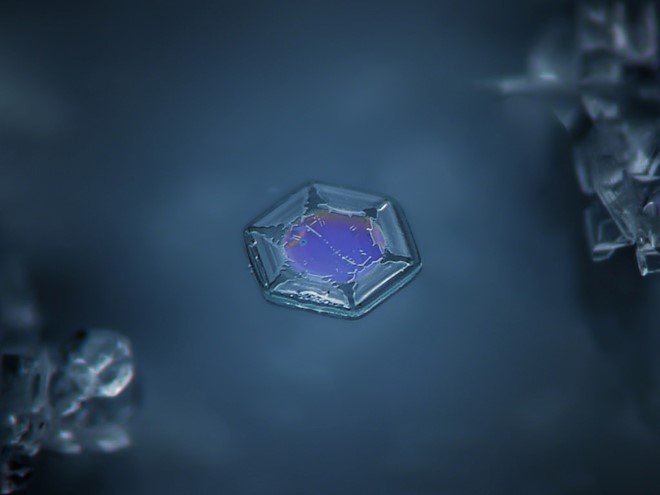 Stunning Macro Images of Snowflakes (12)
