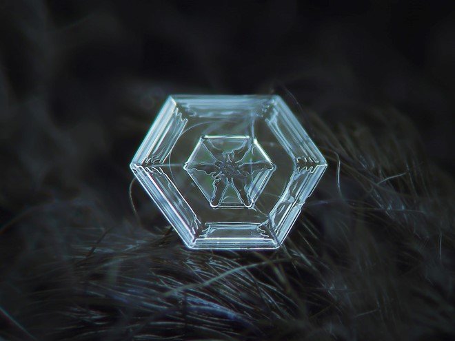 Stunning Macro Images of Snowflakes (15)