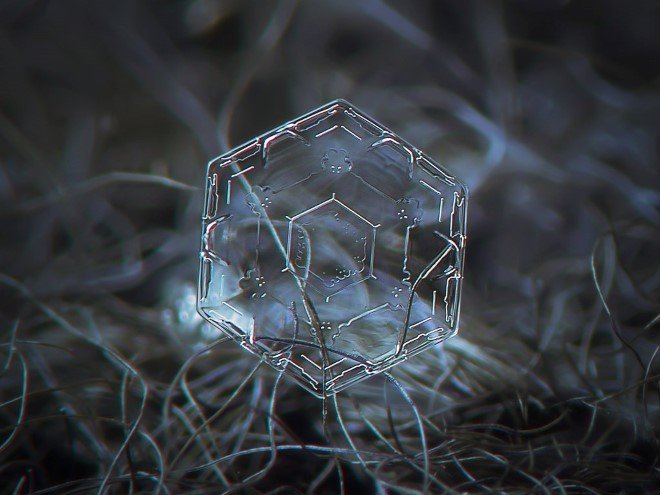 Stunning Macro Images of Snowflakes (16)