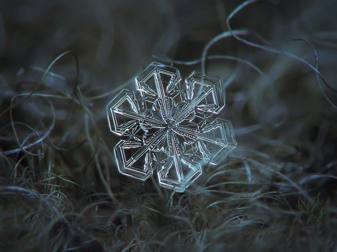 Stunning Macro Images of Snowflakes (17)