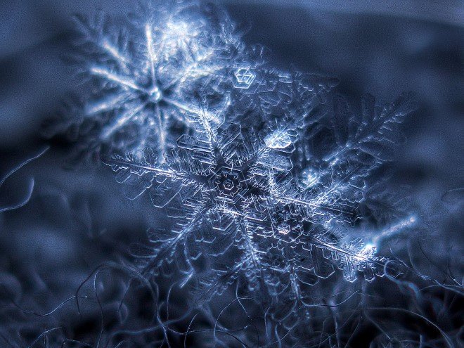 Stunning Macro Images of Snowflakes (19)