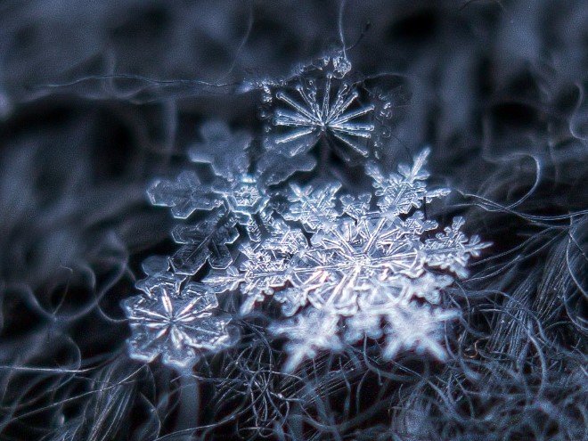 Stunning Macro Images of Snowflakes (21)
