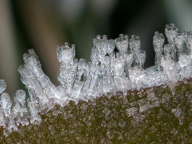 Stunning Macro Images of Snowflakes (23)