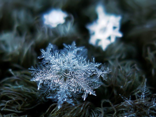 Stunning Macro Images of Snowflakes (26)