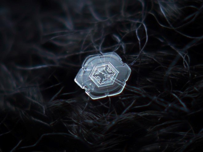Stunning Macro Images of Snowflakes (28)