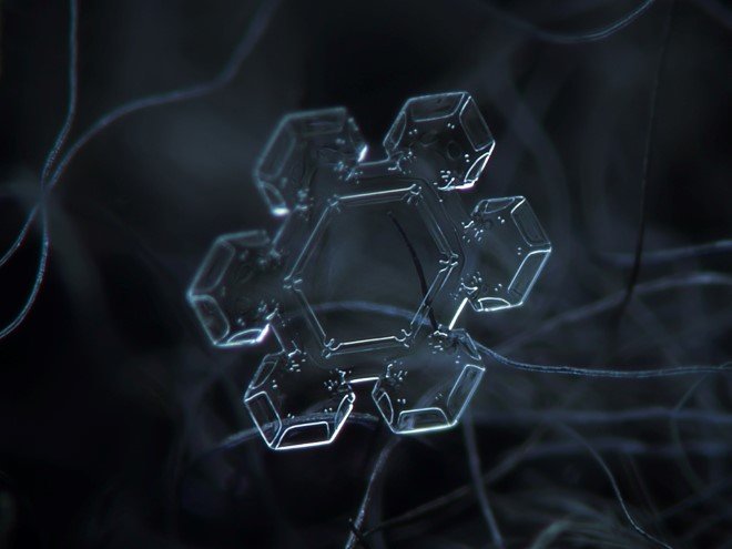 Stunning Macro Images of Snowflakes (33)