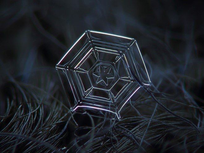Stunning Macro Images of Snowflakes (34)