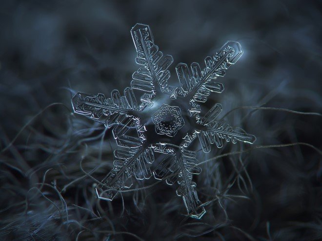 Stunning Macro Images of Snowflakes (8)