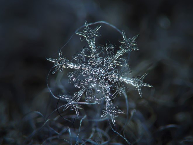 Stunning Macro Images of Snowflakes (9)