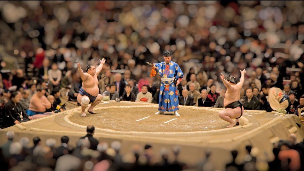Toy Sumo by Ankhbayar Tumurbaatar