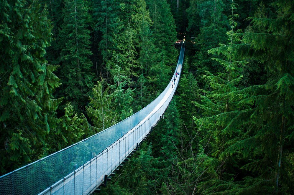 Capilano Suspension Bridge, Vancouver, Canada 