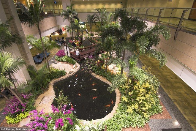 Singapore Changi International Airport (SIN) (3)