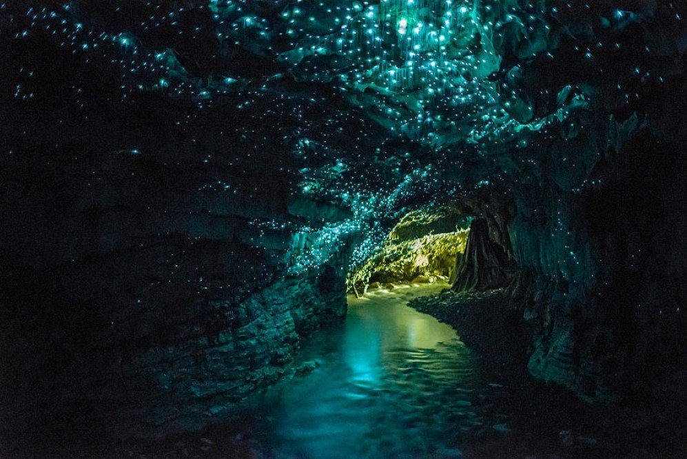 Waitomo Glowworm Caves, New Zealand (1)