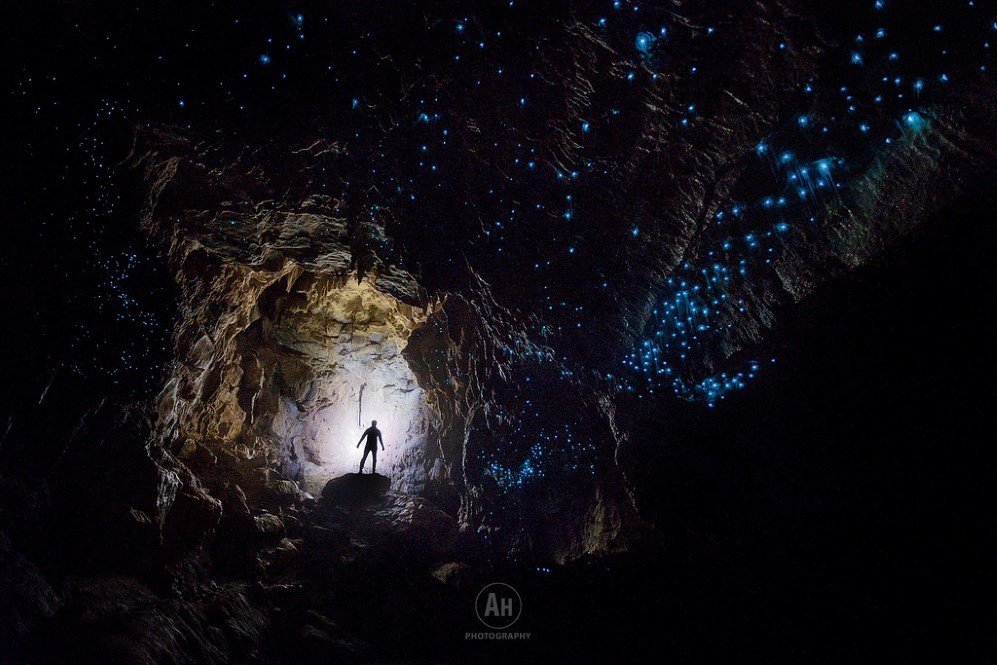 Waitomo Glowworm Caves, New Zealand (2)