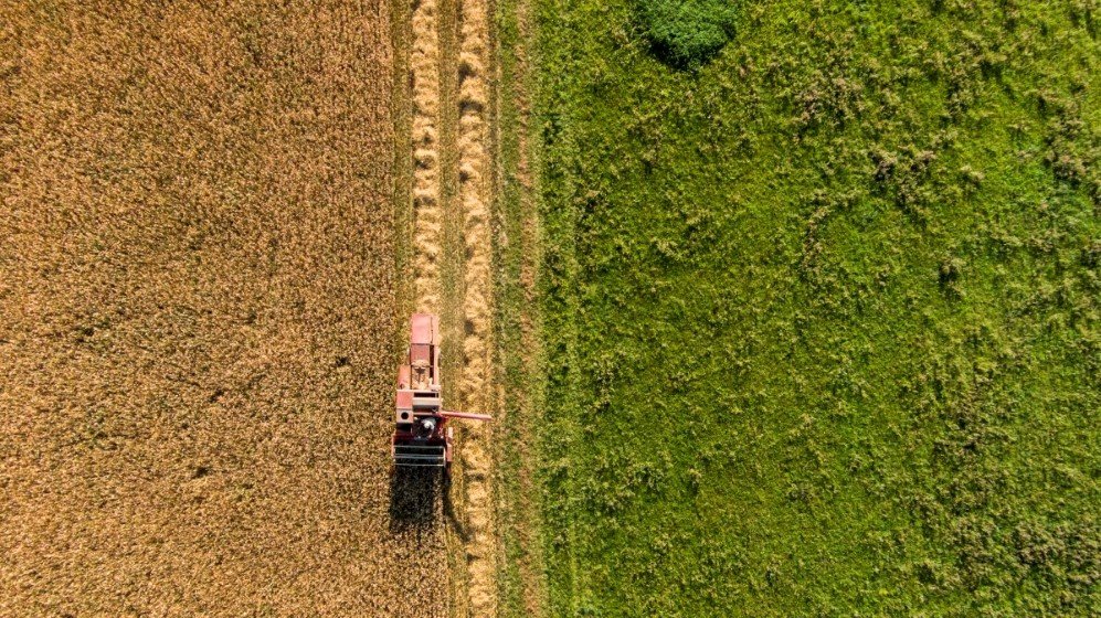 Agriculture and farming in Lithuania 2