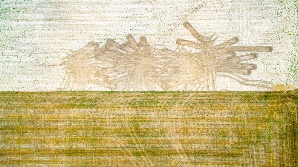 Agriculture fields near Raudonenai